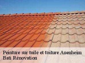 Peinture sur tuile et toiture  auenheim-67480 Bati Rénovation