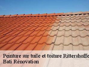 Peinture sur tuile et toiture  rittershoffen-67690 Bati Rénovation