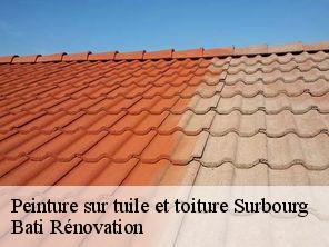 Peinture sur tuile et toiture  surbourg-67250 Bati Rénovation