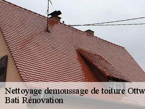 Nettoyage demoussage de toiture  ottwiller-67320 Bati Rénovation