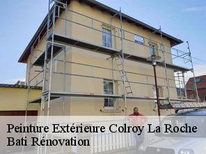 Peinture Extérieure  colroy-la-roche-67420 Bati Rénovation