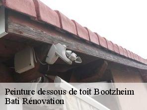 Peinture dessous de toit  bootzheim-67390 Bati Rénovation