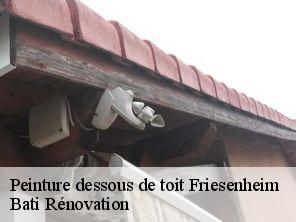 Peinture dessous de toit  friesenheim-67860 Bati Rénovation