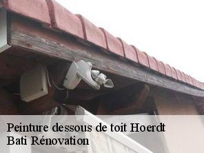 Peinture dessous de toit  hoerdt-67720 Bati Rénovation