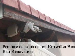 Peinture dessous de toit  kirrwiller-bosselshausen-67330 Bati Rénovation