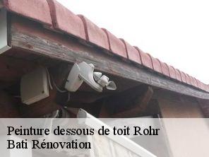 Peinture dessous de toit  rohr-67270 Bati Rénovation